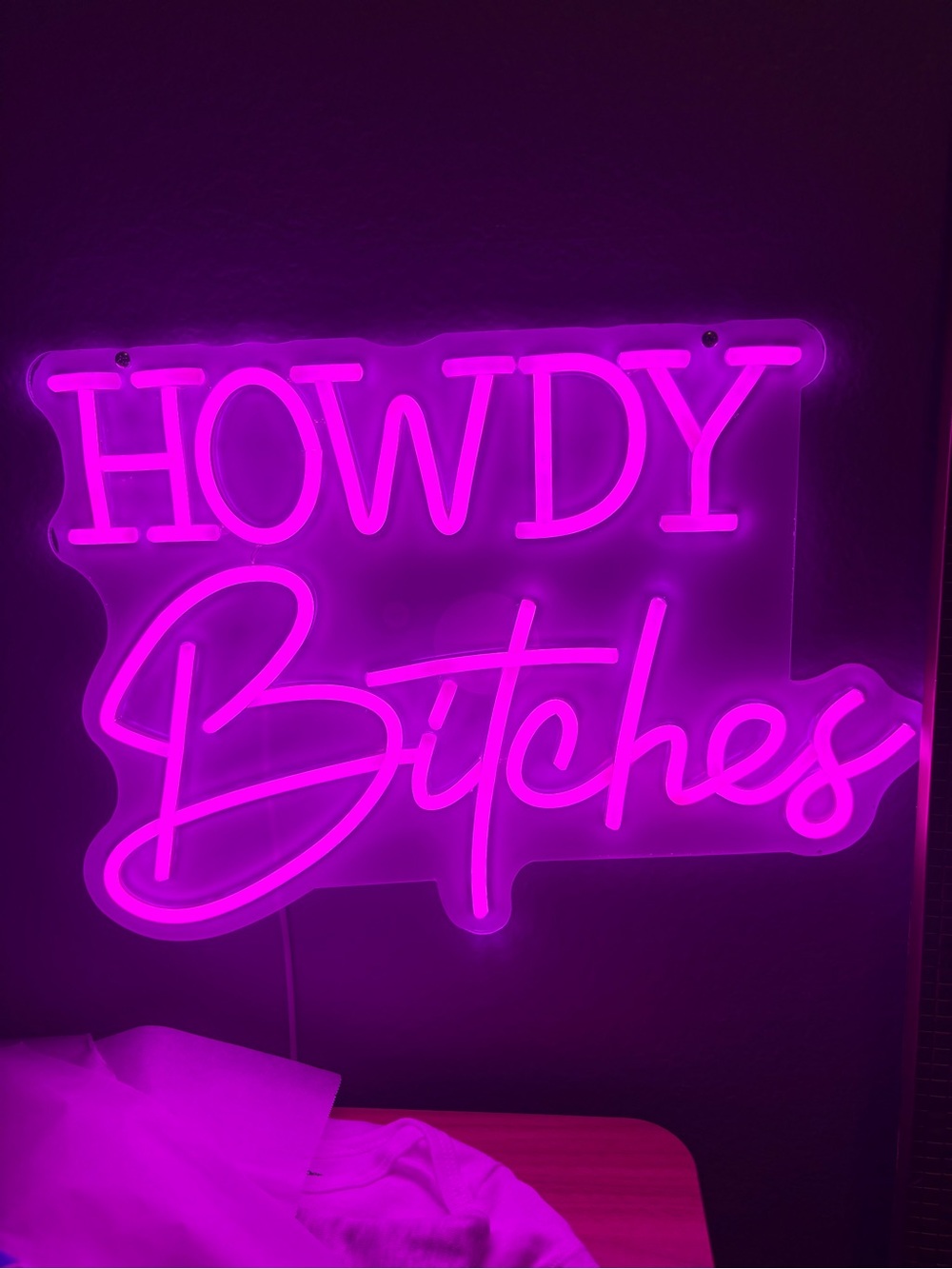 Pink "Howdy Bitches" LED Neon Sign - Home Party Decor